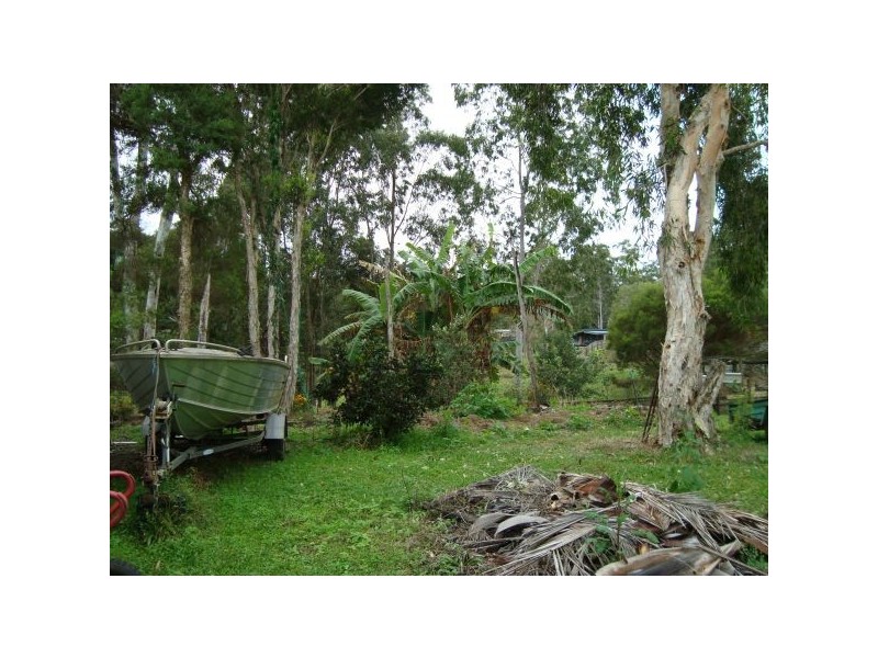 Mooloolah Valley QLD 4553