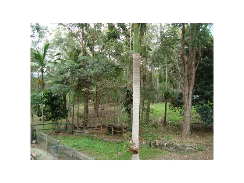 219 Neill Road, Mooloolah Valley QLD 4553