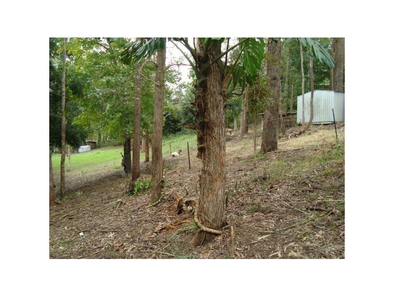 219 Neill Road, Mooloolah Valley QLD 4553