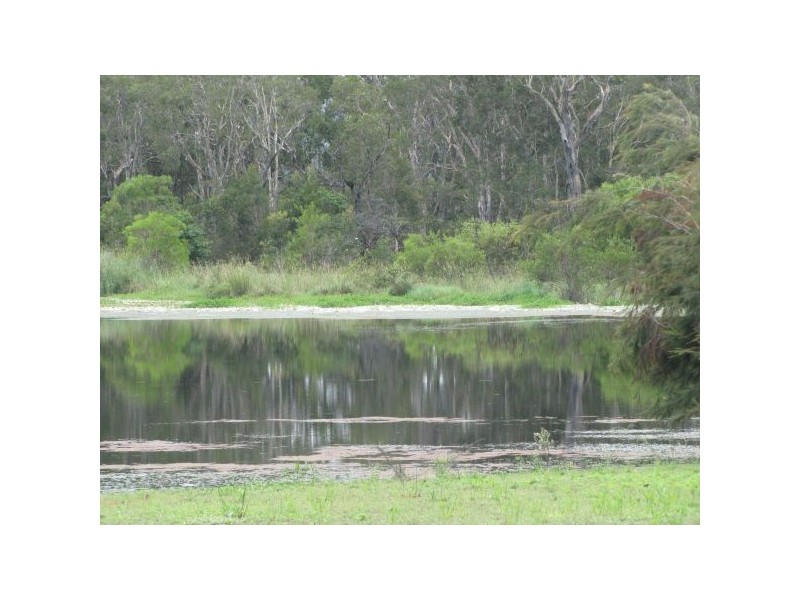 Sippy Downs QLD 4556