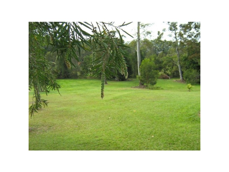Mooloolah Valley QLD 4553