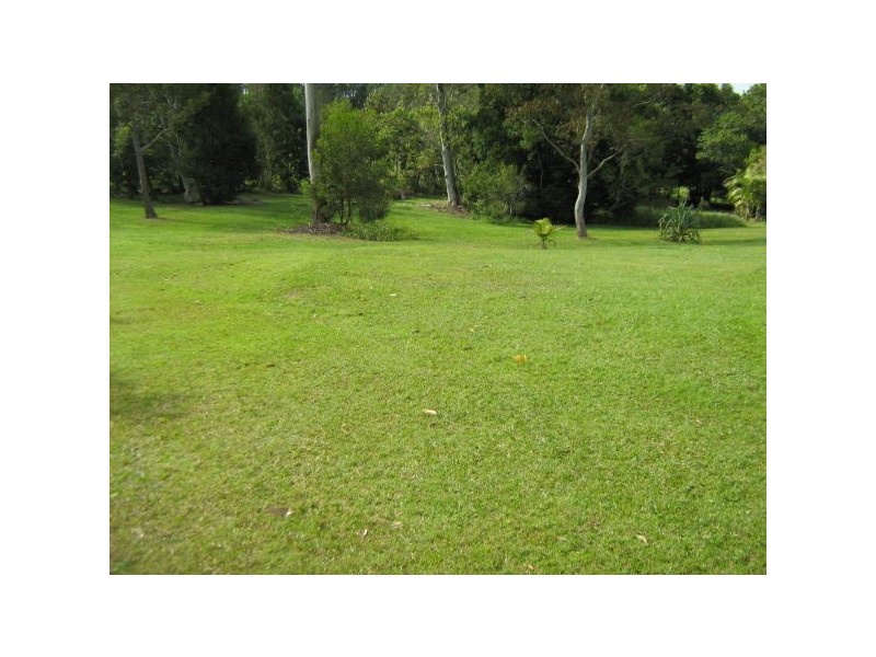 Mooloolah Valley QLD 4553
