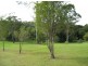 Mooloolah Valley QLD 4553