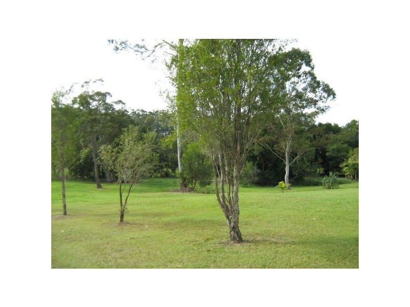 Mooloolah Valley QLD 4553