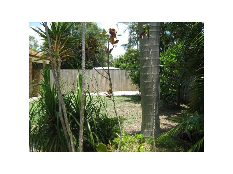 88 Beerburrum St, Battery Hill QLD 4551