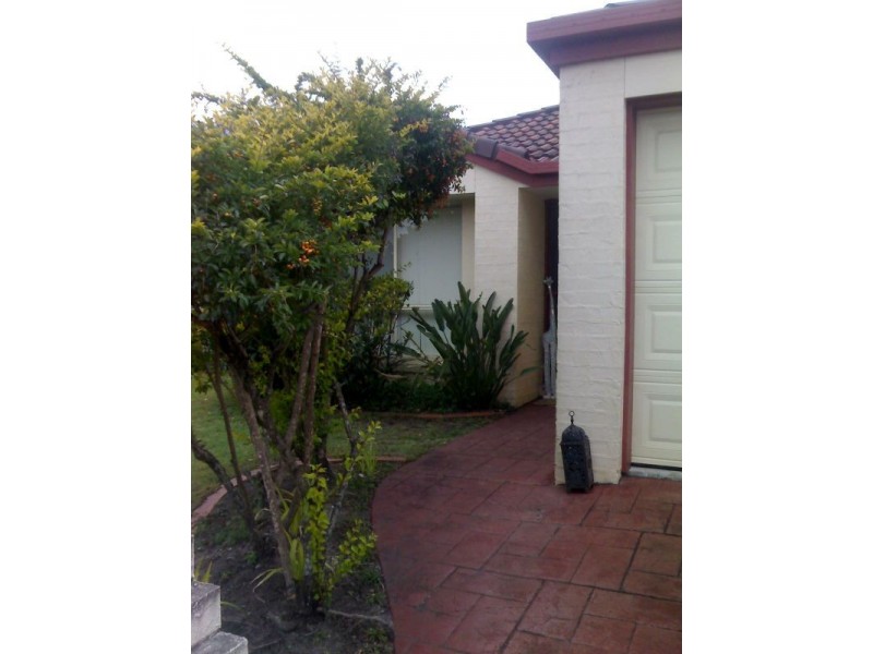 10 Bernheid Cres, Sippy Downs QLD 4556