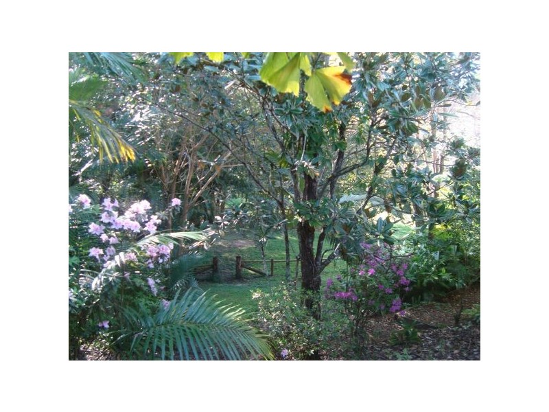 Mooloolah Valley QLD 4553