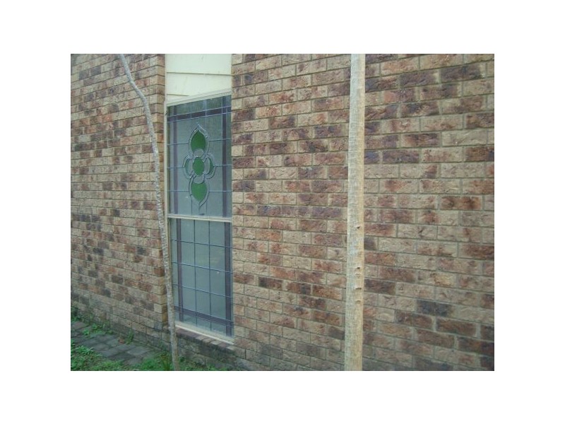 Mooloolah Valley QLD 4553