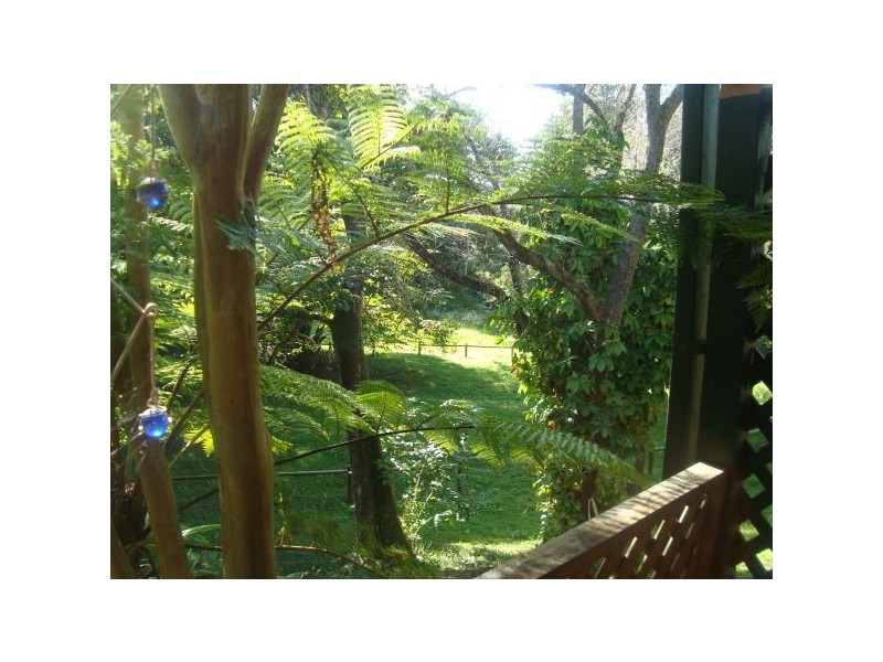 Mooloolah Valley QLD 4553