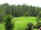 Mooloolah Valley QLD 4553
