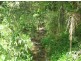 Mooloolah Valley QLD 4553