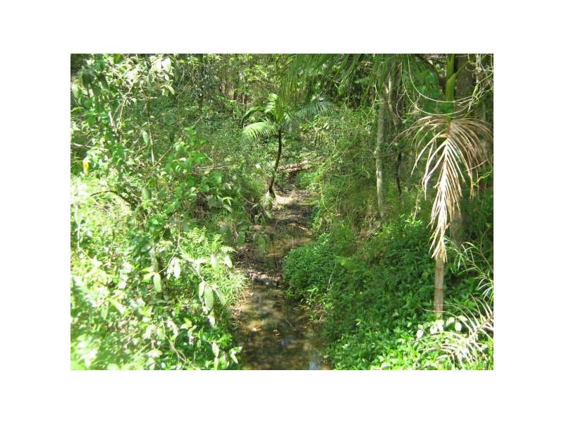 Mooloolah Valley QLD 4553