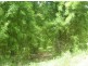 Mooloolah Valley QLD 4553