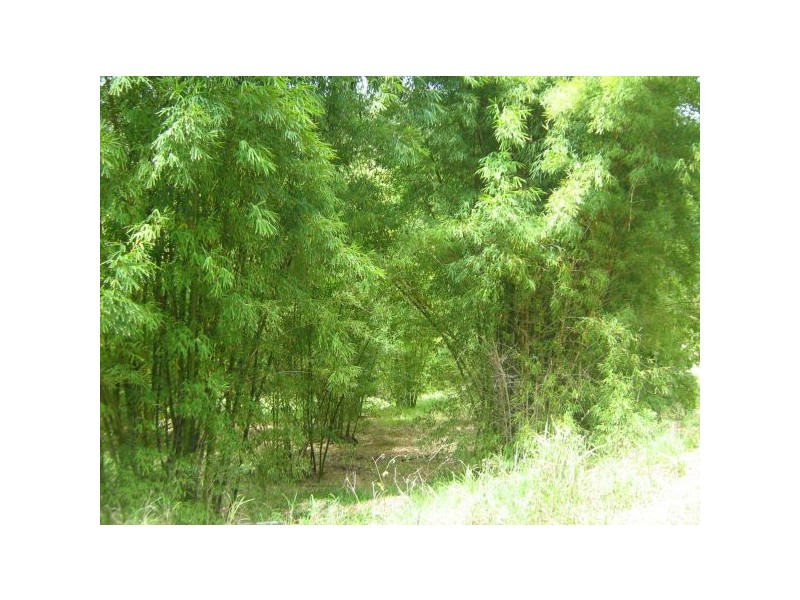 Mooloolah Valley QLD 4553