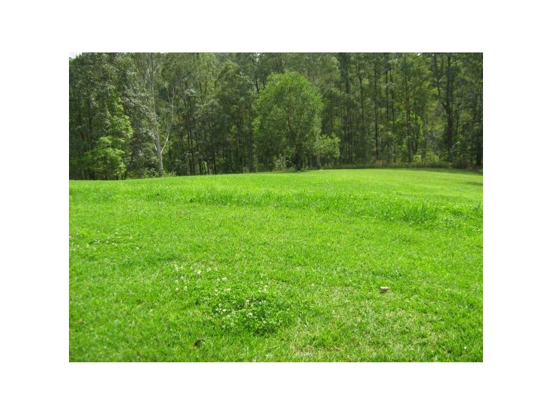 Mooloolah Valley QLD 4553
