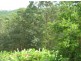 Mooloolah Valley QLD 4553