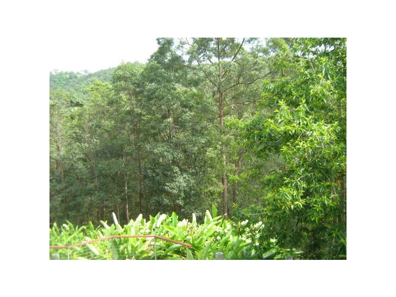 Mooloolah Valley QLD 4553