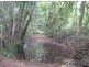 Mooloolah Valley QLD 4553