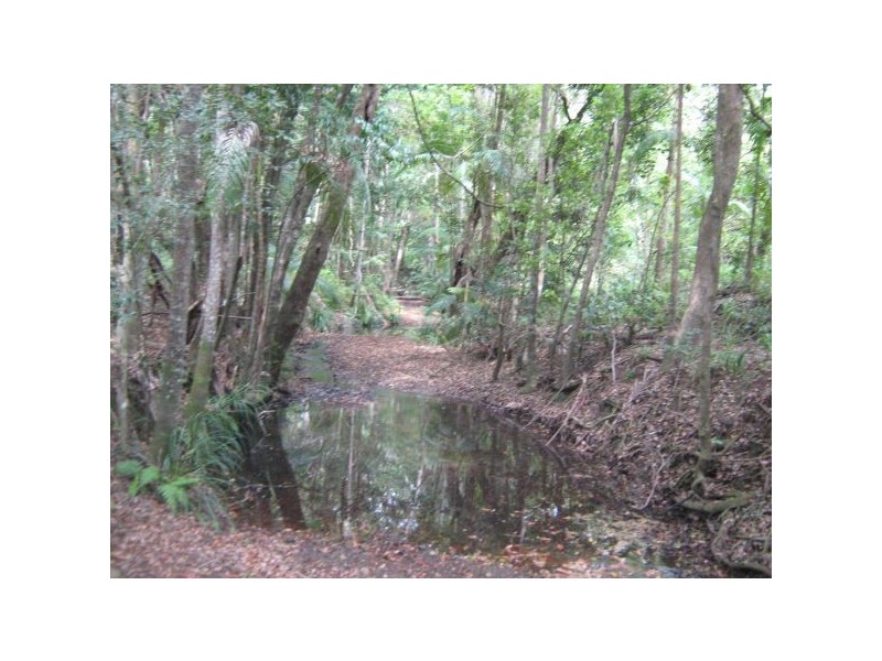 Mooloolah Valley QLD 4553