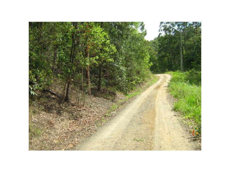 Mooloolah Valley QLD 4553