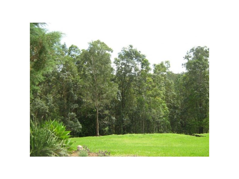 Mooloolah Valley QLD 4553