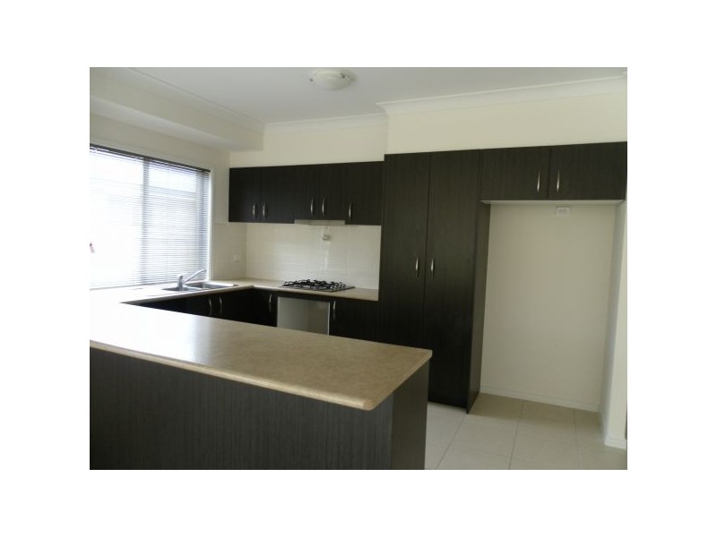 33 Red Cedar St, Sippy Downs QLD 4556