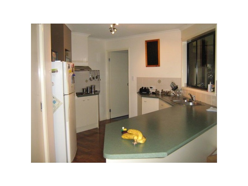 49  Albany St, Sippy Downs QLD 4556