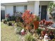 7 Ashby St, Sippy Downs QLD 4556
