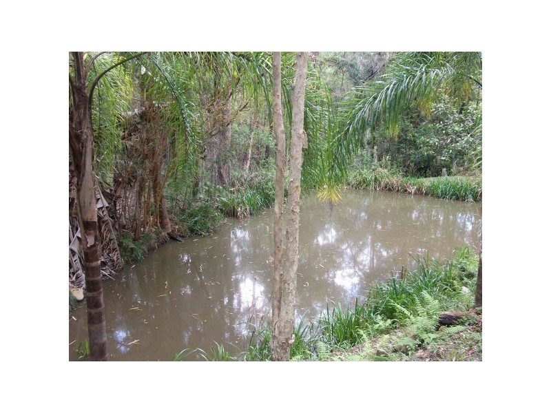 Tanawha QLD 4556
