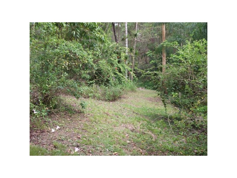 Tanawha QLD 4556