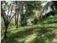 Tanawha QLD 4556