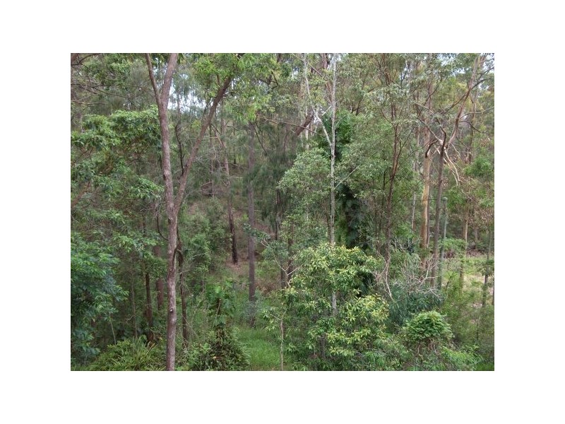 Tanawha QLD 4556