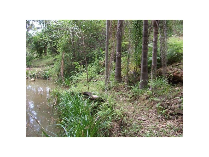 Tanawha QLD 4556
