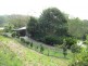 Mooloolah Valley QLD 4553