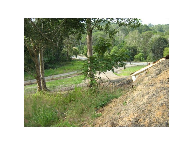 Mooloolah Valley QLD 4553