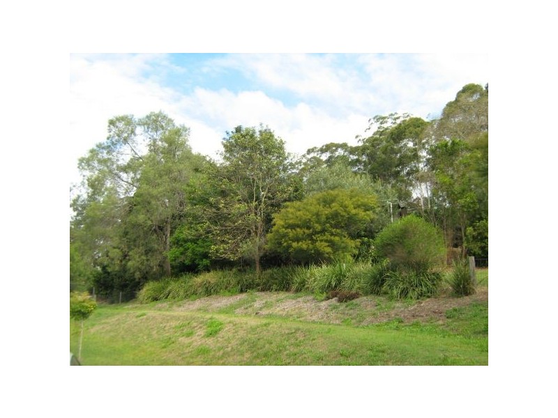 Mooloolah Valley QLD 4553