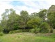 Mooloolah Valley QLD 4553