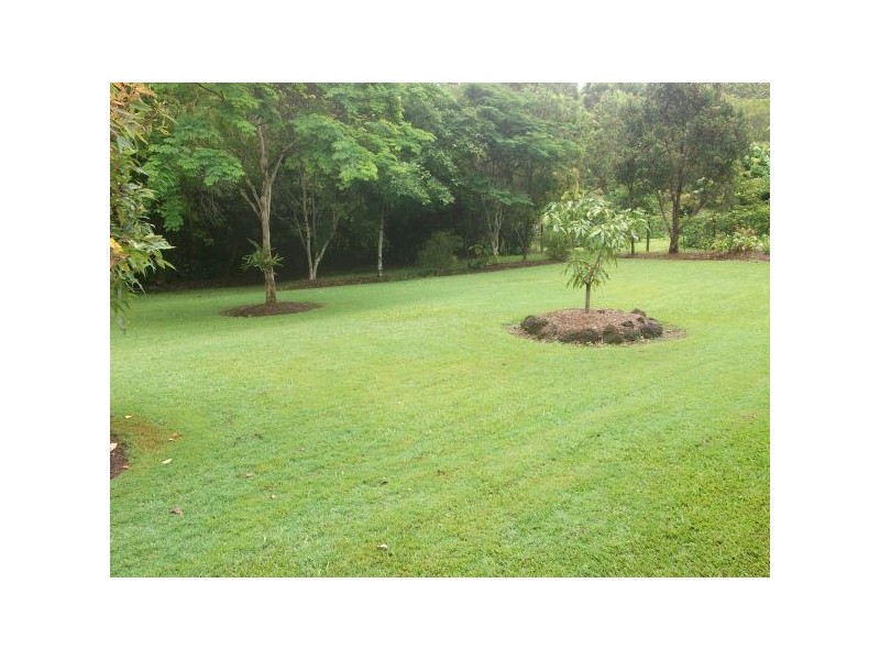 Mooloolah Valley QLD 4553