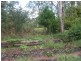 Mooloolah Valley QLD 4553