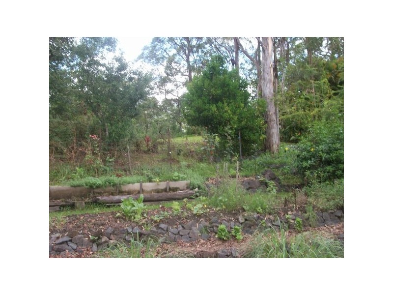Mooloolah Valley QLD 4553