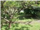 Mooloolah Valley QLD 4553