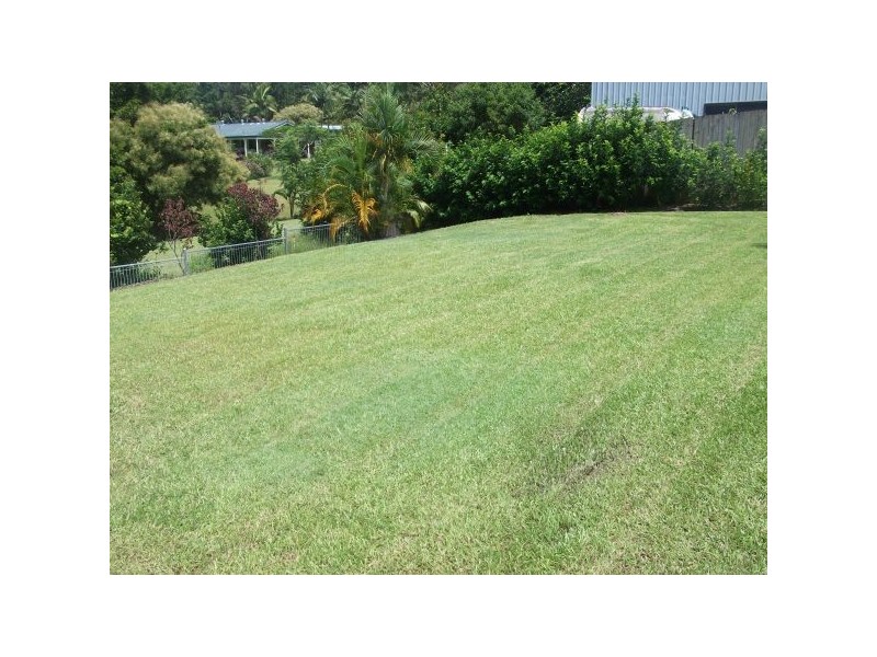 Mooloolah Valley QLD 4553