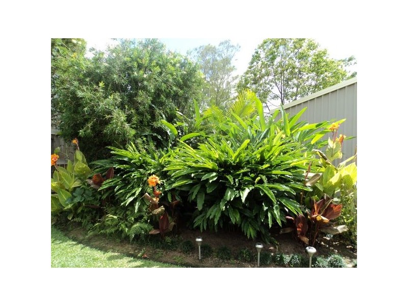 49 King Rd, Mooloolah Valley QLD 4553