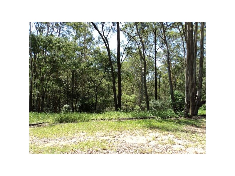 464 Neill Rd, Mooloolah Valley QLD 4553