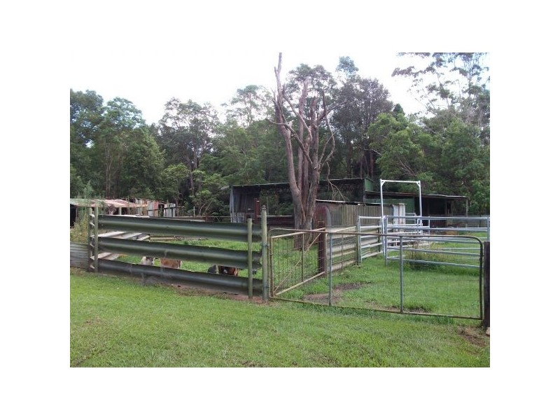 Mooloolah Valley QLD 4553