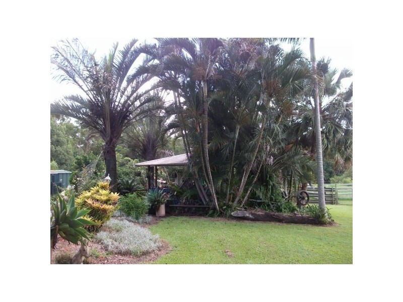 Mooloolah Valley QLD 4553