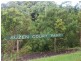 Mooloolah Valley QLD 4553