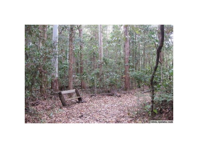 Tanawha QLD 4556