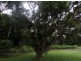 Tanawha QLD 4556