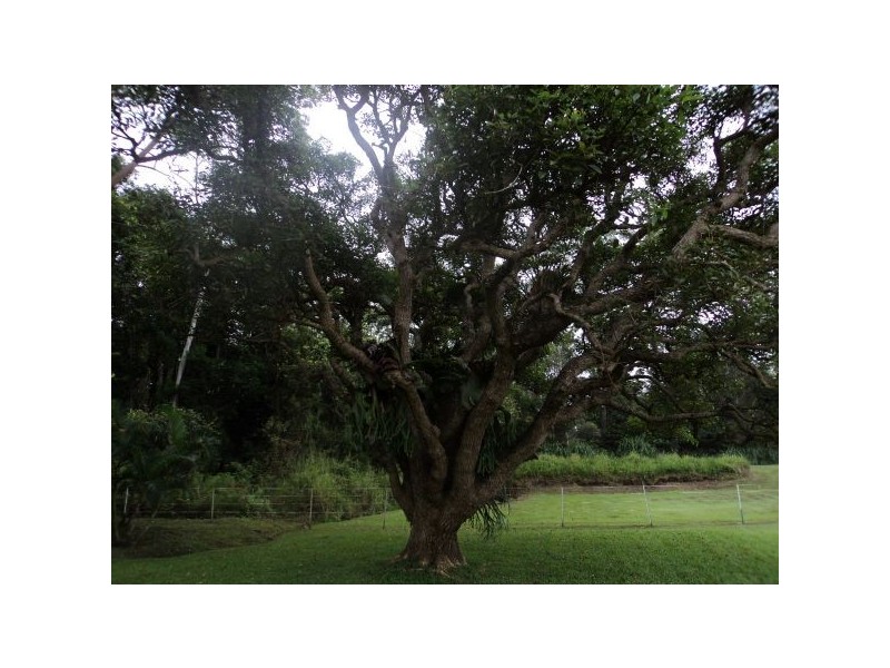 Tanawha QLD 4556